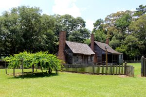 Cabin in a field in Goldsboro North Carolina